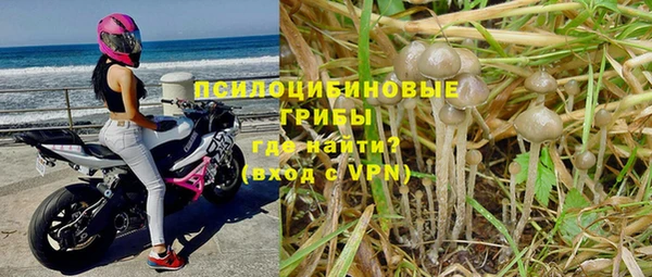 mdpv Бородино