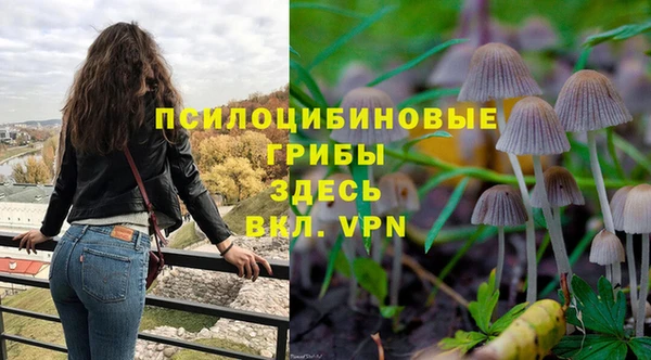 тгк Бугульма