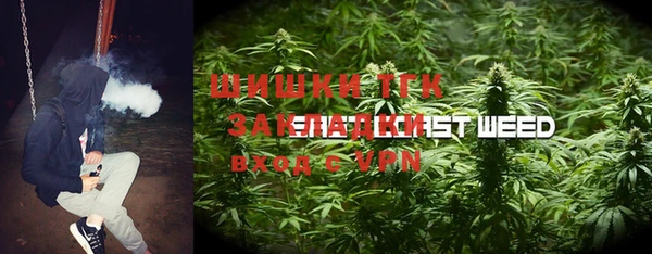бошки Бронницы