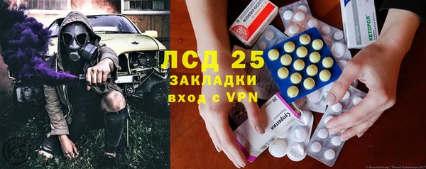 mdpv Бородино